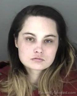 Mugshot of Desiree Dell Lewis