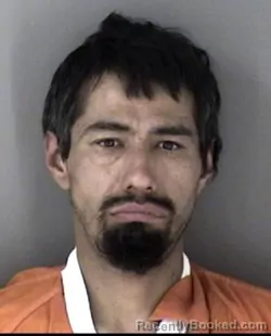 Mugshot of David Cerca Fuentes