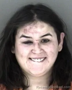 Mugshot of Ashlee Dawn Endicott