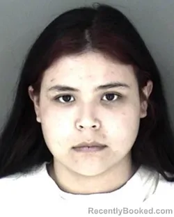 Mugshot of Erika Faith Shawana
