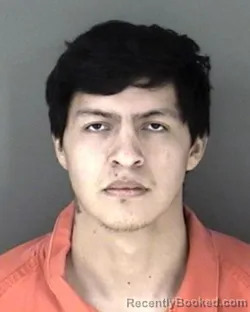 Mugshot of Tyson Andrew Hale