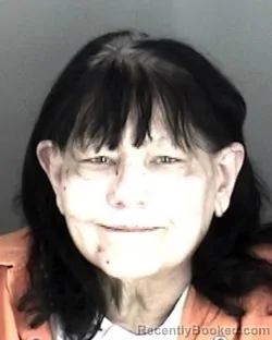 Mugshot of Theresa Marie Gallegos
