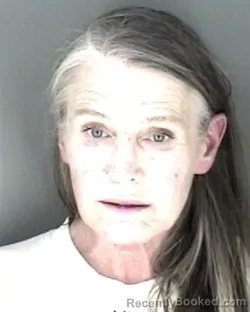 Mugshot of Sandra Erin Smith