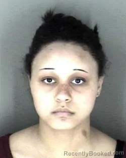 Mugshot of Taylor Renee Wilson