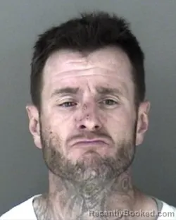 Mugshot of David Bryan Johnson