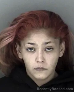 Mugshot of Theresa Louise Milton booked in Shawnee County, Kansas on March 8, 2026