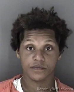 Mugshot of Brittany Lillian Divers