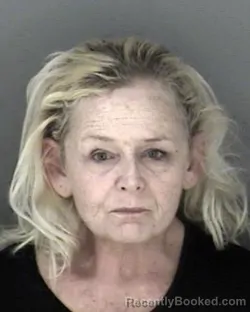 Mugshot of Dustin Shandra Harris