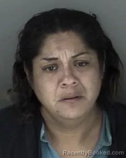Mugshot of Anna Marie Hernandez