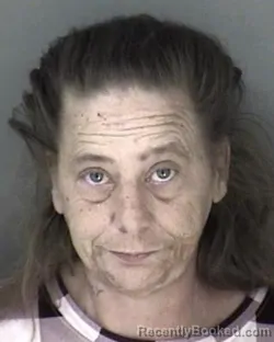 Mugshot of Tammy Marie Lester