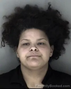 Mugshot of Erin Elizabeth Gene Ford booked in Shawnee County, Kansas on March 19, 2026