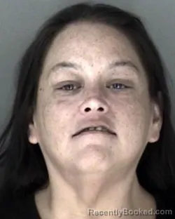 Mugshot of Lisa Dianne Chappell booked in Shawnee County, Kansas on March 22, 2026