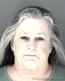 Mugshot of Tresa Gay McDysan booked in Shawnee County, Kansas on March 26, 2026