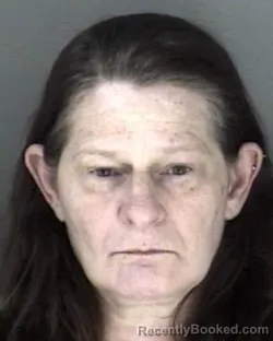 Mugshot of Ginger Denise Bass-Hunter booked in Shawnee County, Kansas on March 27, 2026