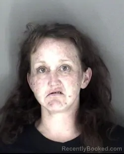 Mugshot of Lindsay Jo Palmer booked in Shawnee County, Kansas on March 27, 2026