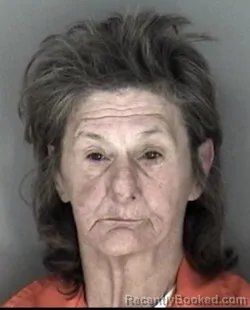 Mugshot of Loraine Kaye Fanning booked in Shawnee County, Kansas on March 30, 2026