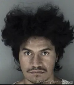 Mugshot of Davis Alofa Lee booked in Shawnee County, Kansas on March 30, 2026