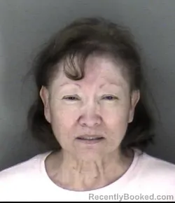 Mugshot of Inez Ramos Lewis booked in Shawnee County, Kansas on March 30, 2026