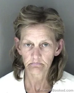 Mugshot of Kelly Ann DeWick booked in Shawnee County, Kansas on April 1, 2026