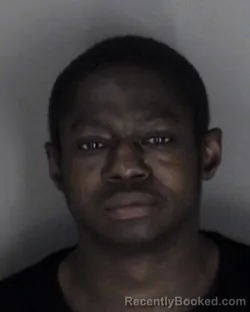 Mugshot of Eris Shamer Hopkins