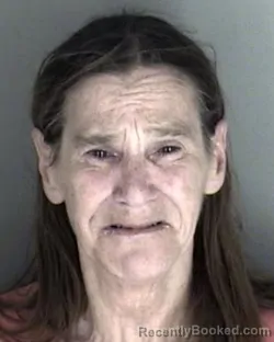 Mugshot of Nancy Lou Mehmel booked in Shawnee County, Kansas on May 17, 2026