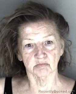 Mugshot of Darlene Nancy Scott booked in Shawnee County, Kansas on May 27, 2026