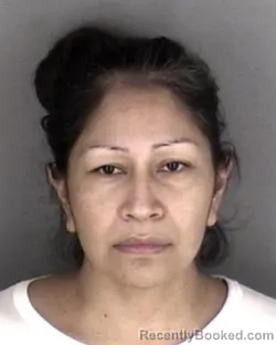 Mugshot of Sandra Nelly Maldonado Nunez booked in Shawnee County, Kansas on July 1, 2026