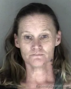 Mugshot of Dawn Lynn Hasley booked in Shawnee County, Kansas on July 6, 2026