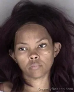 Mugshot of Geneva Nichole Evans-Hoskins booked in Shawnee County, Kansas on July 17, 2026