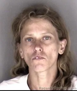 Mugshot of Kimberly Ann George booked in Shawnee County, Kansas on July 17, 2026