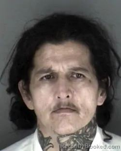 Mugshot of Jerry Lee Lewis booked in Shawnee County, Kansas on August 17, 2026
