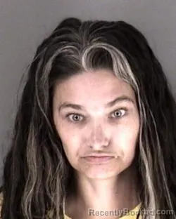 Mugshot of Ashley Nicole Wilson booked in Shawnee County, Kansas on August 19, 2026