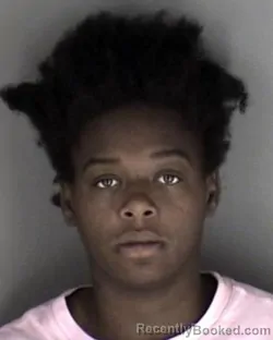 Mugshot of Destiny Chante Harris booked in Shawnee County, Kansas on August 26, 2026
