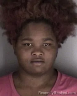 Mugshot of Enijah Alesha Yanette Denise Reney Fetherson booked in Shawnee County, Kansas on August 29, 2026