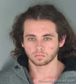 Mugshot of Dylan Tyler Lewis