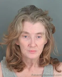 Mugshot of Kristen Sue Noll booked in Shawnee County, Kansas on October 12, 2026