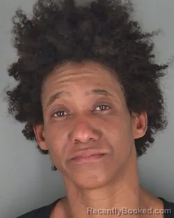 Mugshot of Jarmillya Kaylene Douglas booked in Shawnee County, Kansas on October 22, 2026