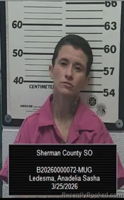 Mugshot of Anadelia Sasha Ledesma booked in Sherman County, Kansas on March 25, 2026