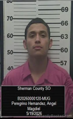 Mugshot of Angel Magdiel Peregrino Hernandez booked in Sherman County, Kansas on May 19, 2026