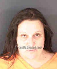 Booking photo from Sarasota County, Florida