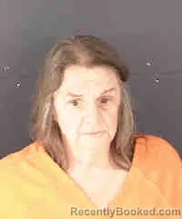 Mugshot of Cornelia Daniel Hendry booked in Sarasota County, Florida on October 1, 2026