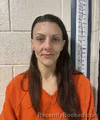 Mugshot of BRITTANY NICOLE JOHNSON booked in Sarasota County, Florida on March 21, 2026