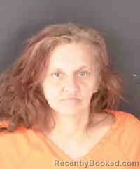 Mugshot of Rebecca Lynn Freeman booked in Sarasota County, Florida on October 5, 2026