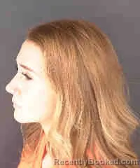 Mugshot of BIANCA ANNMARIE BROWN booked in Sarasota County, Florida on April 27, 2026