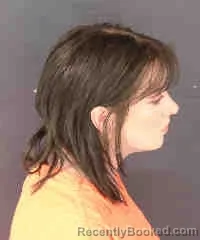 Mugshot of BRITTANY MARIE LANCE booked in Sarasota County, Florida on April 1, 2026