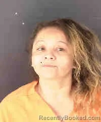 Mugshot of JENNIFER DIANA SNEPERGER booked in Sarasota County, Florida on March 20, 2026