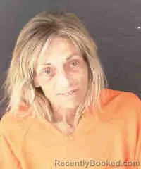 Mugshot of Laura Marie Bruce booked in Sarasota County, Florida on October 6, 2026