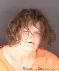 Mugshot of MICHELLE DENISE VANOY booked in Sarasota County, Florida on June 16, 2026