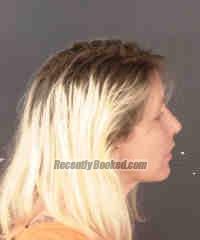 Booking photo from Sarasota County, Florida