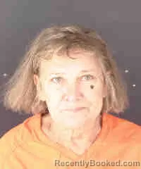 Mugshot of JEAN RAE KOWACKI booked in Sarasota County, Florida on July 6, 2026